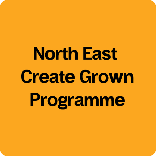 North East Create Growth Programme 500 x 500
